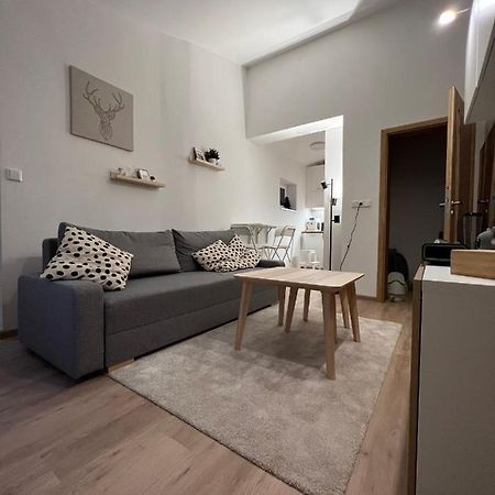 Apartman U Potoka Dolní Morava Buitenkant foto