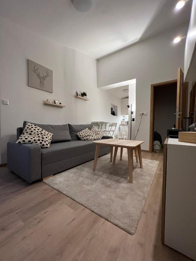 Apartman U Potoka Dolní Morava Buitenkant foto